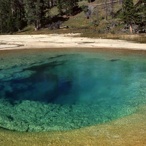 Blick auf den dampfenden 'Beauty Pool', eine heiße Quelle im 'Upper Geyser Basin' im Yellowstone National Park.