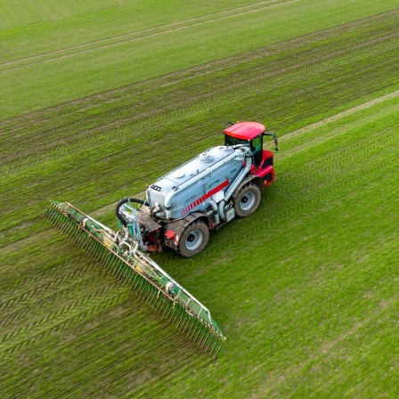 Urteil zur Bayerischen Düngeverordnung: Gericht weist Bauern-Klagen zurück