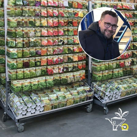 schafgarbe saatgut Gewöhnliche Schafgarbe-Samen – LaCaTho GmbH main image 0