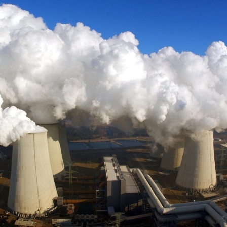 Kohleausstieg, Fernwärme als Kältespeicher, Nobelpreisträger-Tagung, Erdbebenatlas Deutschland