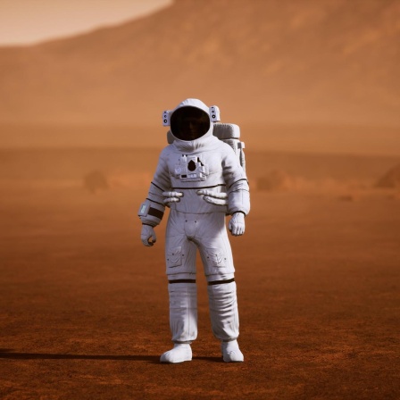 Winterschlaf in der Raumkapsel - Wie Astronauten besser zum Mars kommen