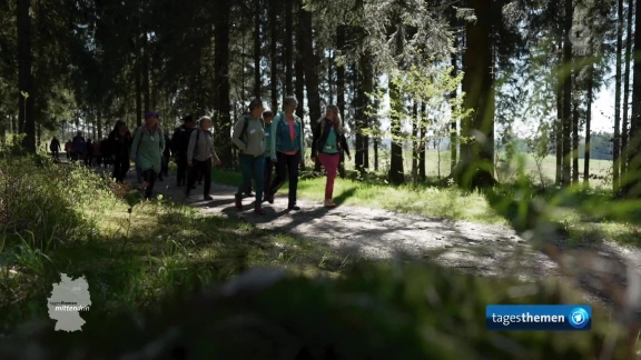 Tagesthemen - Waldspaziergänge Für Singles In Neuhaus Am Rennweg