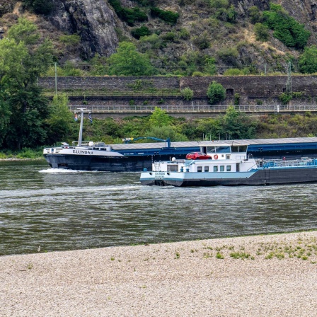 Frachtschiffe auf dem Rhein bei Niedrigwasser 