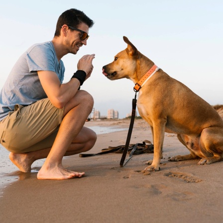 Mann mit Hund am Strand: Hunde mögen es nicht, wenn man sich beim Anleinen über sie beugt und am Kopf streichelt