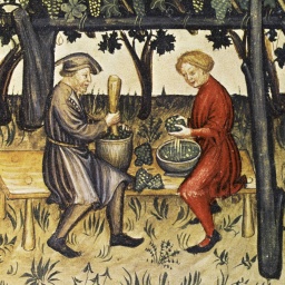 Medizin im Mittelalter - Der Garten der Gesundheit