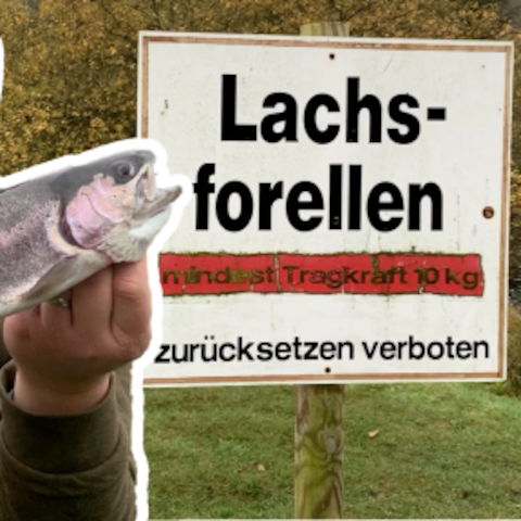 Eric Mickan mit gefangener Lachsforelle im Forellenhof Niemegk(Quelle: rbb/Rößler/Zachrau