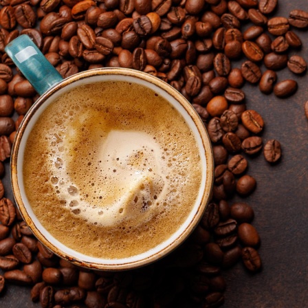 Später Kaffee hemmt das Lernen | Riesenflohkrebse bevölkern die Tiefsee (229)
