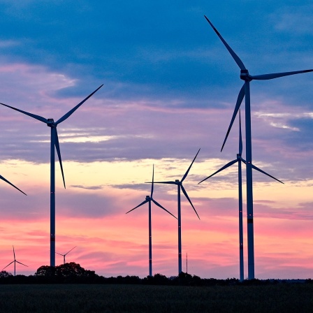 Zum Sonnenaufgang drehen sich die Rotorblätter von Windenergieanlagen im Wind.