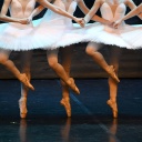 Ballettänzerinnen bei einer Schwanensee-Aufführung.