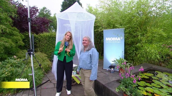 Morgenmagazin - Service: Schattenplätze Im Garten