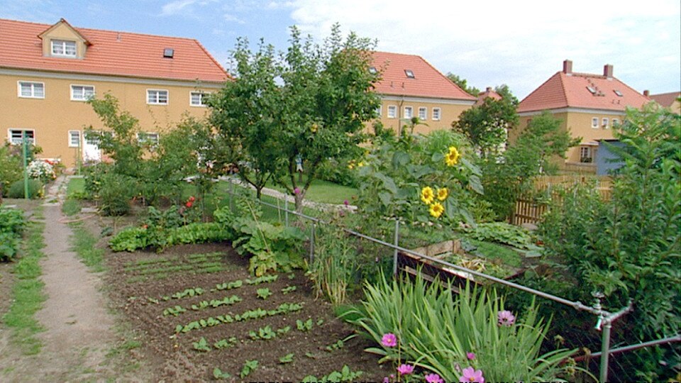 Unter unserem Himmel Gartenstadt Piesteritz ARD Mediathek