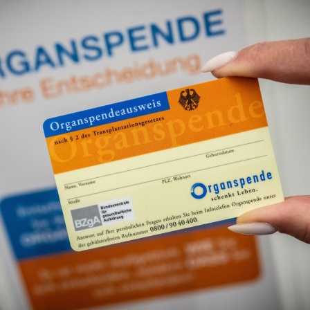 Ein Organspendeausweis