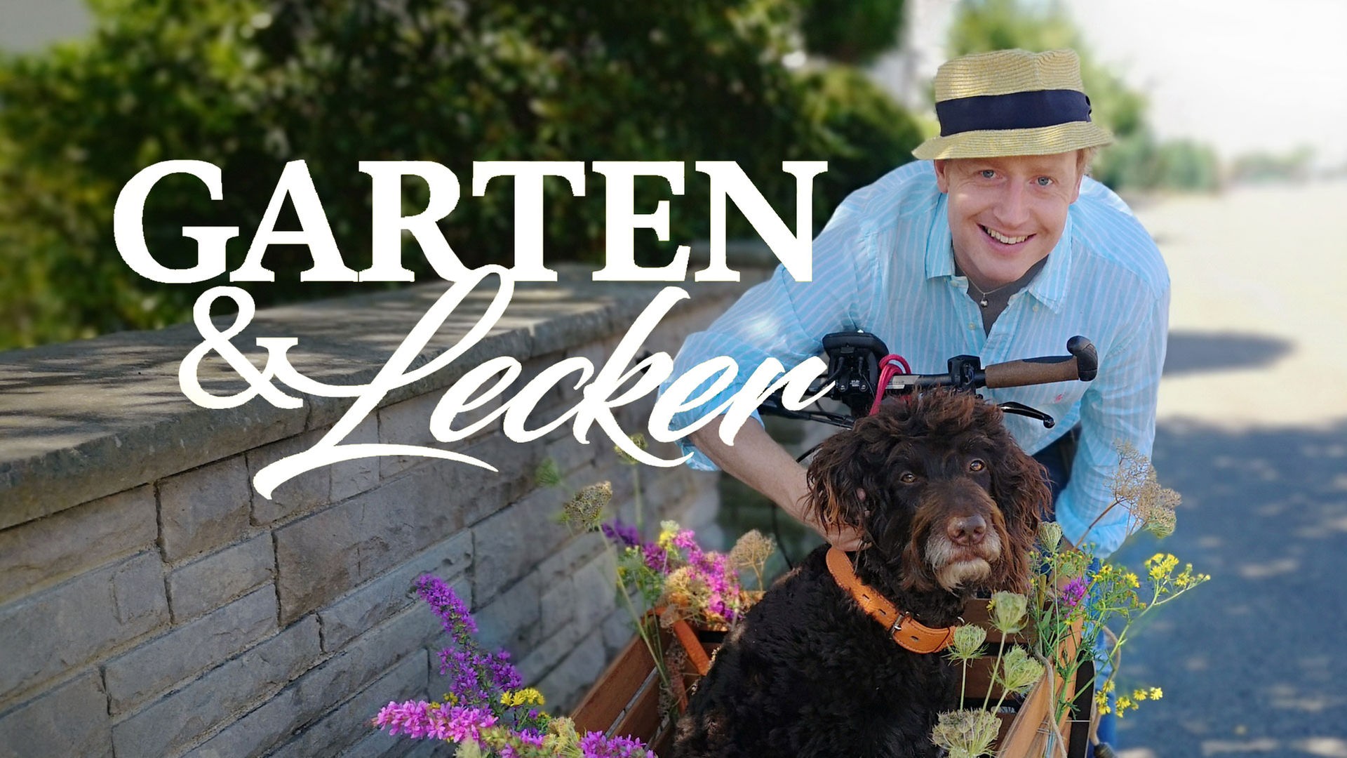 41+ Ard Mediathek Garten Und Lecker, Dabei kommt alles auf den
