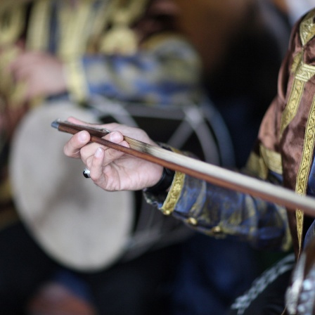 Das persische Instrument Tar wird bei einem Konzert gespielt.