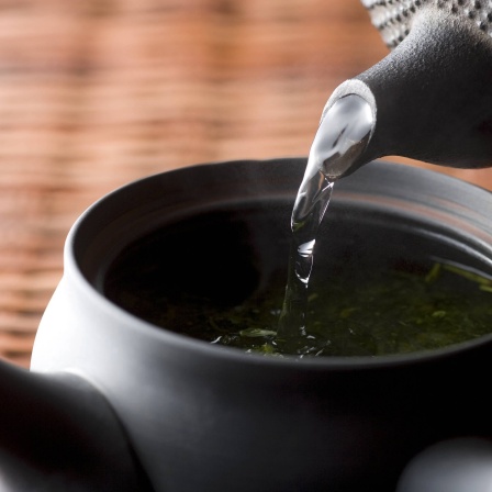 Grüner Tee wird aufgebrüht. Aber was ist die richtige Temperatur?