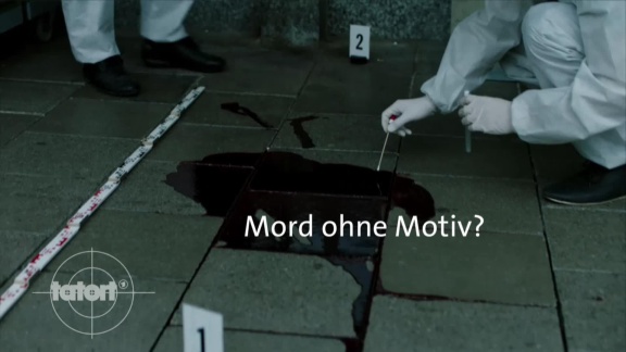 Tatort - Interview Zum 'tatort: Die Wahrheit' - Mord Ohne Motiv.
