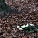 12.02.2019, Nordrhein-Westfalen, Herten: Weiße Rosen liegen vor einem Baum im Friedwald Ruhestätte Natur. Hier kann man sich anonym in einer Urne unter einem Baum bestatten lassen.