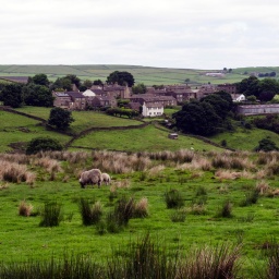 Das Beitragsbild des WDR3 Kulturfeature "Innere und äußere Landschaften" zeigt eine Landschaft mit Schafen im District South Yorkshire England