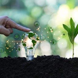 Erde, Pflanze und Glühbirne mit vielen Symbolen zu Öko-Energie