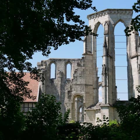 Aufnahme der Ruine der Klosterkirche Walkenried durch Blätter hindurch