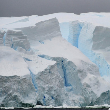 Eisschmelze in der Antarktis, Klimaflüchtlinge, Proteine im Eis, Bienenhotels