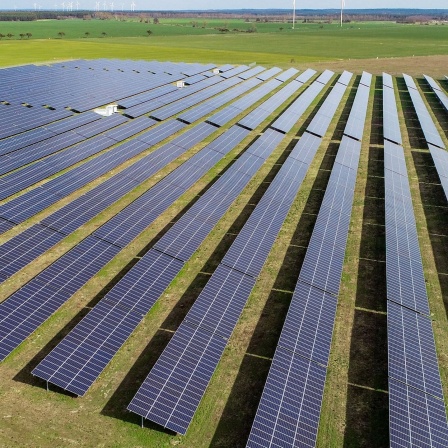 Ein Solarpark steht auf einer Freifläche. Die Solaranlagen in Deutschland produzieren aktuell Rekordmengen an Strom.