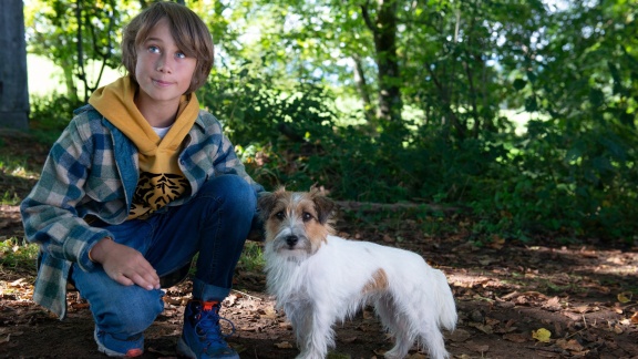 Tiere Bis Unters Dach - Liebe Auf Den Ersten Blick (s09/e13)