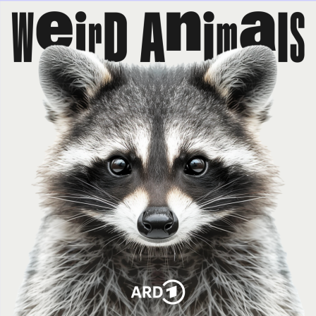 Weird Animals Folge 9 Waschbär