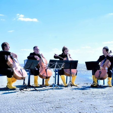 Vier Musiker:innen vom "Orchester des Wandels" sitzen mit Streichinstrumenten und Notenständern auf Stühlen im Wattenmeer und musizieren