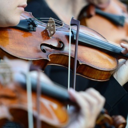 Musiker eines Orchesters spielen Geige
