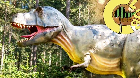 Tigerenten Club - T-rex Und Allosaurus: Wie Ein Paläontologe Dinosaurier Ausgräbt