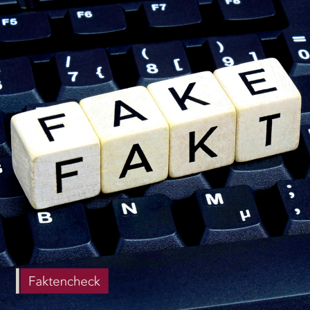 Auf einer Computer-Tastatur liegen Würfel. Sie zeigen nach oben die Aufschrift &quot;Fake&quot; und nach vorne die Aufschrift &quot;Fakt&quot;.