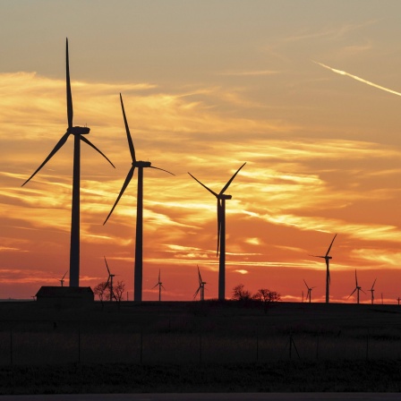 Windräder