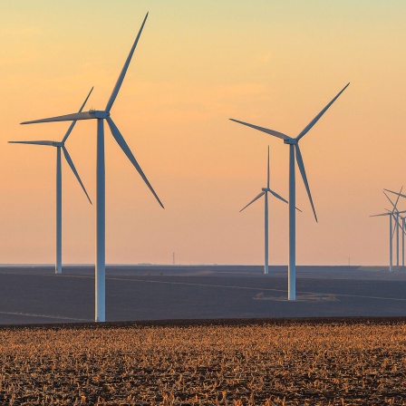 Windräder