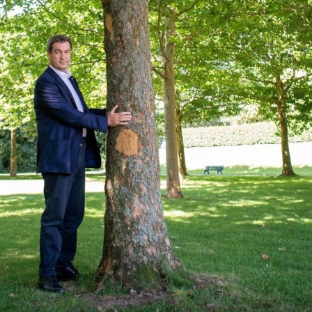 10.07.2019, Bayern, München: Markus Söder (CSU), Ministerpräsident von Bayern, steht neben einem Baum im Hofgarten hinter der bayerischen Staatskanzlei. Söder stellte am Mittwoch in einem Pressegespräch neue Klimaschutzforderungen vor - dazu zählt a