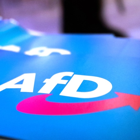 Fähnchen mit dem Logo der AfD liegen auf einem Tisch. (Bild: dpa)