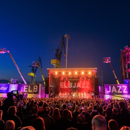 Ein Blick über das Publikum auf die Hauptbühne des Elbjazz Festivals 2023 am Abend