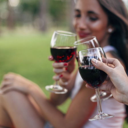 Junge Frauen stoßen im Park mit Weingläsern an.