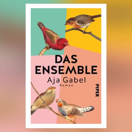 Buch-Cover:Aja Gabel: Das Ensemble