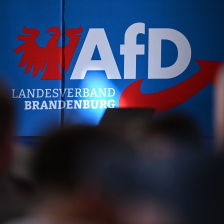 Teilnehmer sitzen in der Auftaktveranstaltung der AfD in Brandenburg zur Landtagswahl vor dem Parteilogo. 