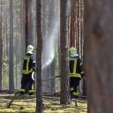 Kameraden der Freiwilligen Feuerwehr löschen letzte Glutnester bei einem kleinen Brand in einem Kiefernwald nahe Wünsdorf. 