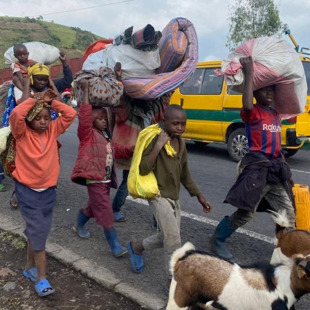 Menschen, die vor den Kämpfen zwischen der Armee und den Rebellen fliehen, sind auf dem Weg nach Goma in Ostkongo.