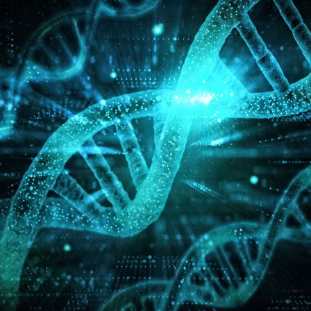 Symbolbild DNA Sequenzierung (Bild: picture alliance / Zoonar | Luis Moreira)