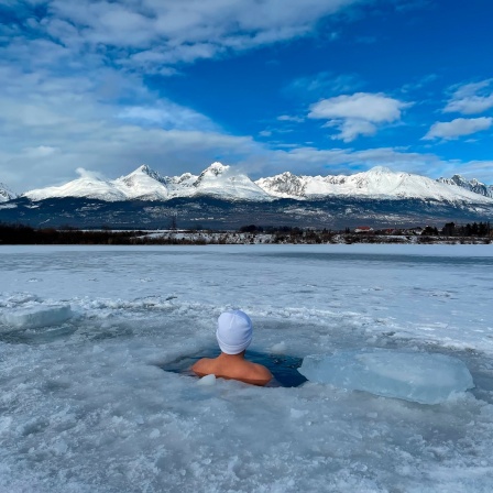 Eine Person schwimmt in Eiswasser und blickt auf die Berge.