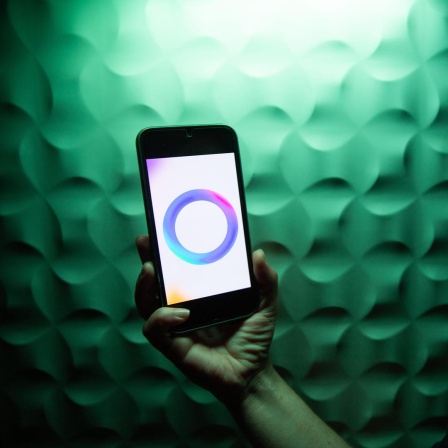 Eine Hand hält ein Smartphone, auf dem das Meta-Logo für ihre KI angezeigt wird: Ein Ring aus ineinanderfließenden Farben in Blau, Lila und Pink.