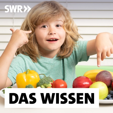 Kind sitzt vor zwei Tellern mit Gemüse und Obst: Kinder sollten schon früh an gesundes Essen gewöhnt und an Bewegung herangeführt werden. Aber zu der Frage, was Kinder tatsächlich selbst über eine gesunde Lebensweise wissen, ist die Studienlage dünn.