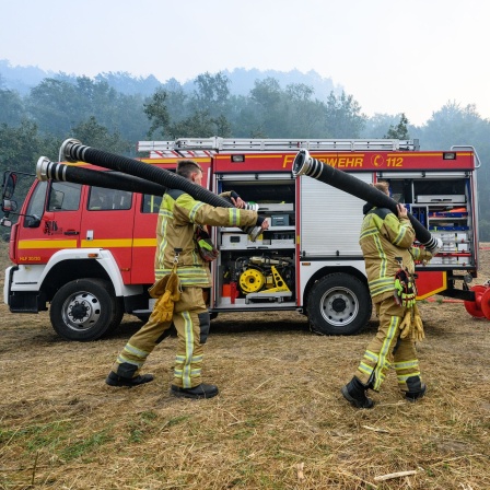 Feuerwehrleute arbeiten am Elbufer an der Löschwasserversorgung im Kampf gegen die Waldbrände im Nationalpark Sächsische Schweiz.