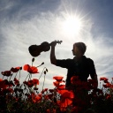 Violine in der Sonne