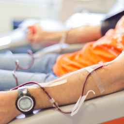 Menschen liegen beim Blutspenden nebeneinander in einem Raum.