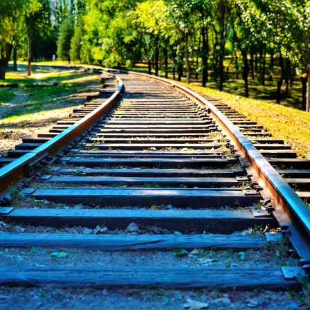 Eisenbahnschienen im Sommer